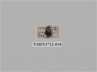 藏品(緣邊駝金龜)的圖片